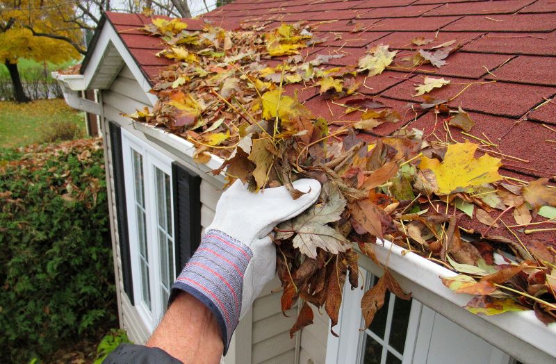 Leaf and Debris Removal